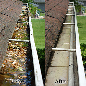 Gutter Cleaning